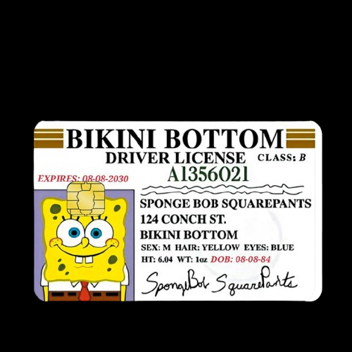 Bikini Bottom