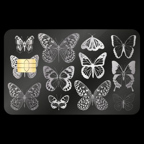 Schmetterling